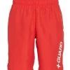 Nike Men's Lifeguard 9" Volley Short -Swim Equipment Store 5678173323432 universityred 1a