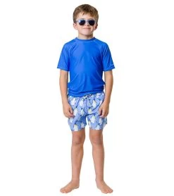 Boys' Penguin Patrol Volley Board Short (Toddler, Little Kid, Big Kid) -Swim Equipment Store 7217020993704 blue 5a